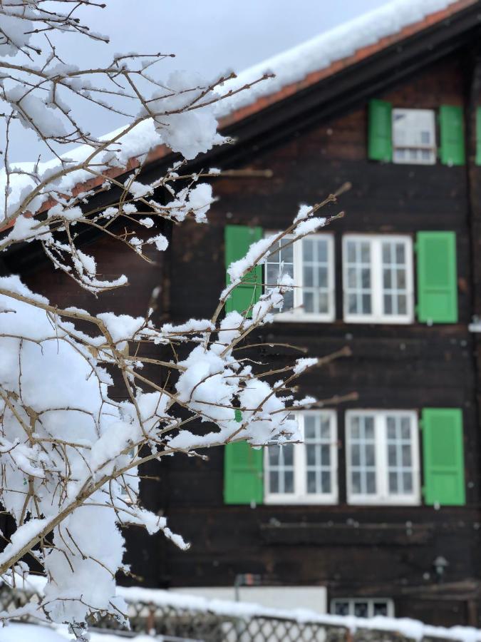 Chalet Pironnet With Best Views, Charm And Comfort! Lägenhet Lauterbrunnen Exteriör bild