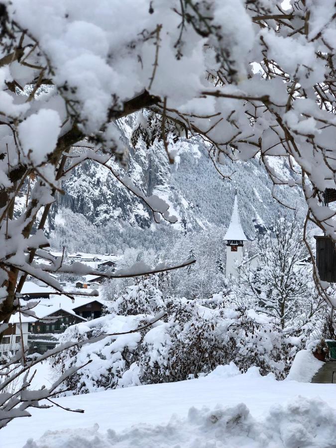 Chalet Pironnet With Best Views, Charm And Comfort! Lägenhet Lauterbrunnen Exteriör bild